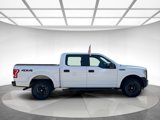 Used 2015 Ford F150 XL w/ Equipment Group 101A Mid image 6