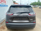Used 2019 Jeep Cherokee Latitude Plus w/ Comfort/Convenience Group image 4
