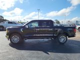 New 2024 Ford F150 XLT w/ Equipment Group 302A MID image 5
