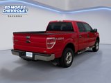 Used 2010 Ford F150 4x4 SuperCrew image 5
