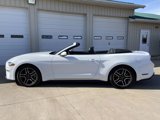 Used 2022 Ford Mustang Premium image 6