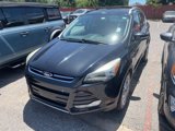 Used 2014 Ford Escape Titanium w/ Equipment Group 401A image 2