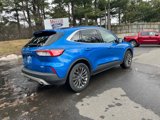 Used 2020 Ford Escape Titanium image 6