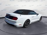 Used 2021 Ford Mustang Premium image 4