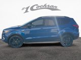 Used 2019 Ford Escape SE image 4