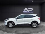 Used 2020 Ford Escape SE image 4