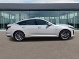Used 2023 Cadillac CT5 Premium Luxury w/ Parking Package image 2