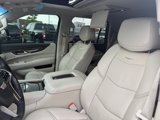Used 2019 Cadillac Escalade Luxury image 6