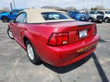 Used 1999 Ford Mustang Convertible image 6