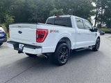 Certified 2021 Ford F150 XLT w/ Equipment Group 302A High image 3