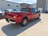 Used 2019 Ford F150 XLT w/ Equipment Group 302A Luxury image 6