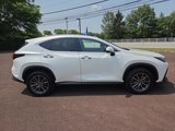Certified 2022 Lexus NX 350 AWD image 2
