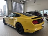 Used 2016 Ford Mustang Premium image 4