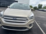Used 2018 Ford Escape Titanium w/ Ford Safe & Smart Package image 2