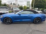 Used 2017 Ford Mustang GT Premium w/ Equipment Group 401A image 6