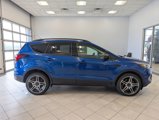 Used 2019 Ford Escape SEL image 2