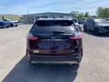Used 2020 Ford Edge SEL image 5