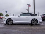 Certified 2020 Ford Mustang Premium image 5