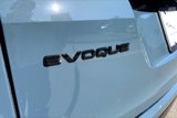 New 2026 Land Rover Range Rover Evoque Dynamic SE image 6