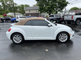 Used 2015 Volkswagen Beetle TDI image 4
