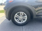 Used 2020 Ford Explorer XLT image 4