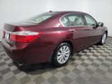 Used 2014 Honda Accord EX-L image 4