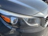 Used 2015 Kia Sedona SX image 2