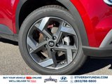New 2025 Hyundai Venue Limited image 6