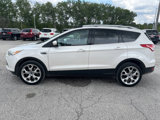 Used 2013 Ford Escape Titanium w/ Parking Technology Pkg image 6