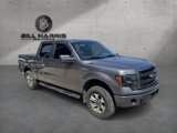 Used 2014 Ford F150 STX w/ Equipment Group 201A Mid image 3