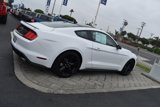 Used 2023 Ford Mustang Coupe w/ Equipment Group 101A image 2