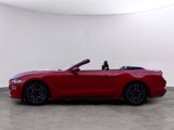 Used 2023 Ford Mustang Premium image 4