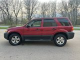 Used 2007 Ford Escape XLT image 4