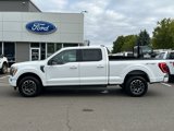 Used 2021 Ford F150 XLT w/ Equipment Group 302A High image 3