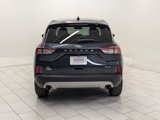 Used 2022 Ford Escape SE w/ Cold Weather Package image 6