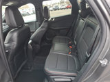 New 2025 Ford Escape ST-Line w/ Cold Weather Package image 6
