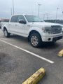 Used 2013 Ford F150 Platinum image 2