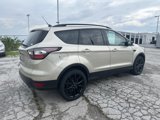 Used 2018 Ford Escape SE w/ SE Sport Appearance Package image 3