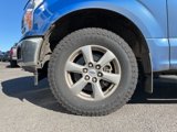 Used 2018 Ford F150 XLT w/ Equipment Group 302A Luxury image 3
