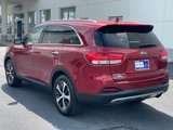 Used 2016 Kia Sorento EX w/ EX Premium Package image 4
