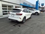 Used 2023 Ford Escape ST-Line w/ Equipment Group 301A image 6