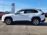 Used 2023 Toyota RAV4 XLE image 3