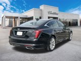 Certified 2025 Cadillac CT5 Premium Luxury image 3