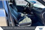 Used 2023 Ford Escape ST-Line Elite image 6
