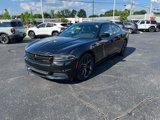 Used 2019 Dodge Charger SXT w/ Blacktop Package image 4