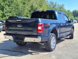 Used 2019 Ford F150 XLT w/ Equipment Group 302A Luxury image 4