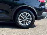 Certified 2022 Ford Escape SE w/ Convenience Package image 6