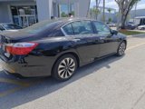 Used 2015 Honda Accord Touring image 4