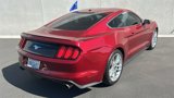 Certified 2016 Ford Mustang Premium w/ Pony Package image 4