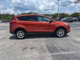 Used 2019 Ford Escape SE image 3